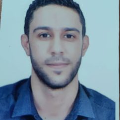 نائب رئيس قسم الفرنسية مكلف بالبحث العلمي ومابعد التدرج